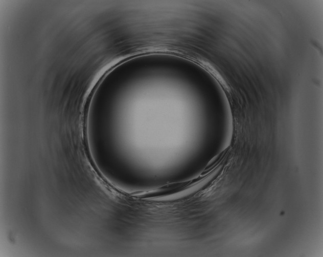 X0000093121148200709261323