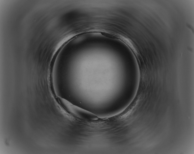X0000093121149200709261323