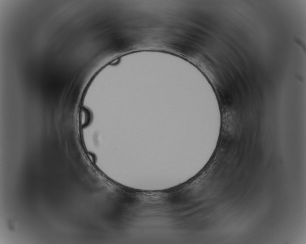 X0000093121150200709261323