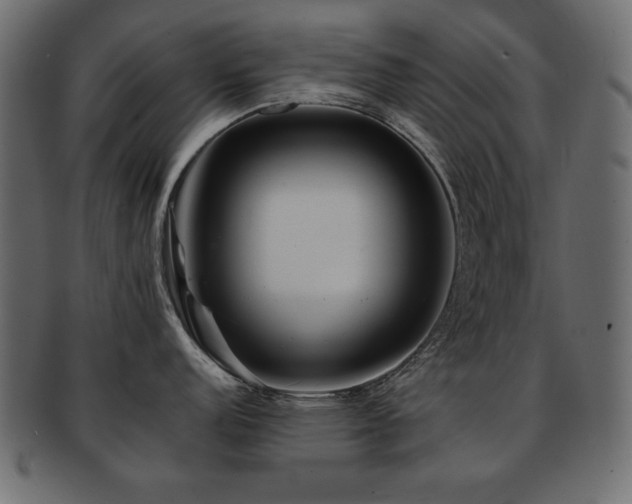 X0000093121152200709261323