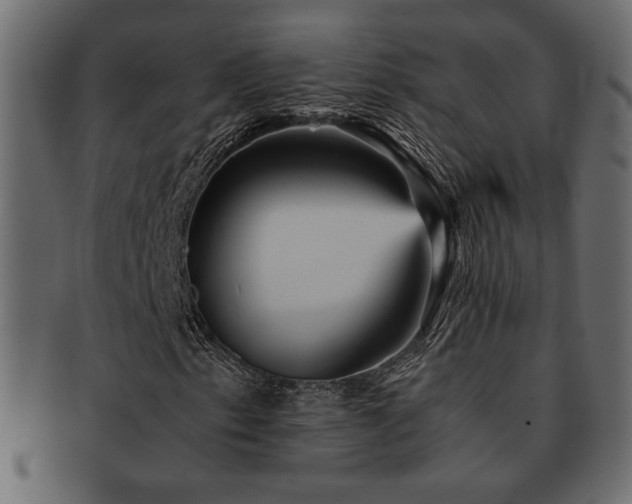 X0000093121153200709261322