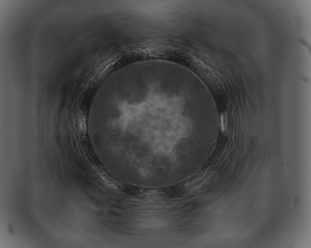 X0000093121155200709261322