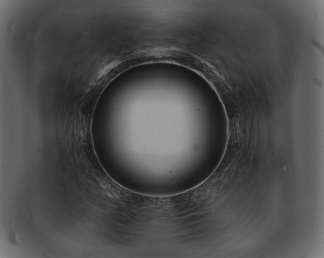 X0000093121158200709261322