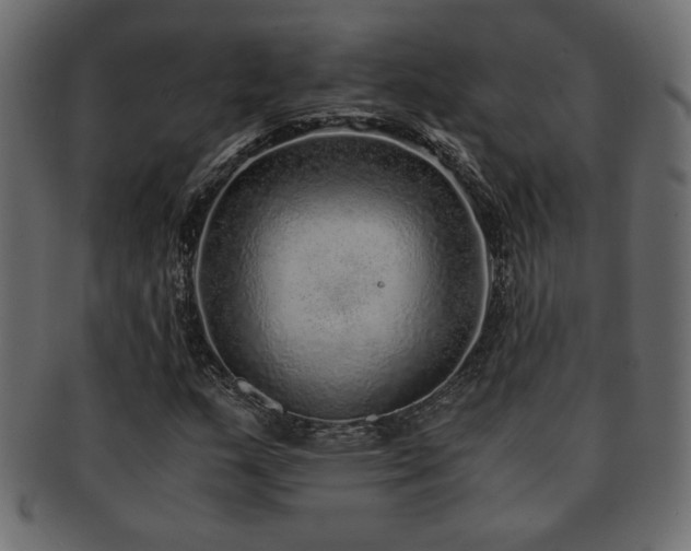 X0000093121159200709261322