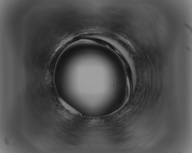X0000093121160200709261322
