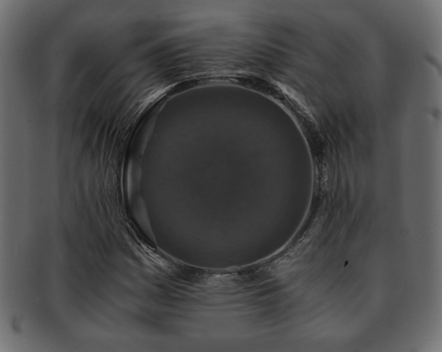 X0000093121161200709261322