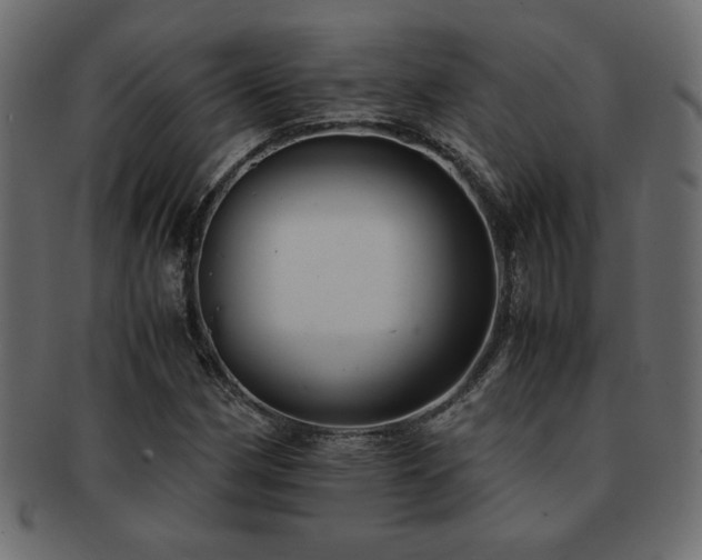 X0000093121162200709261322