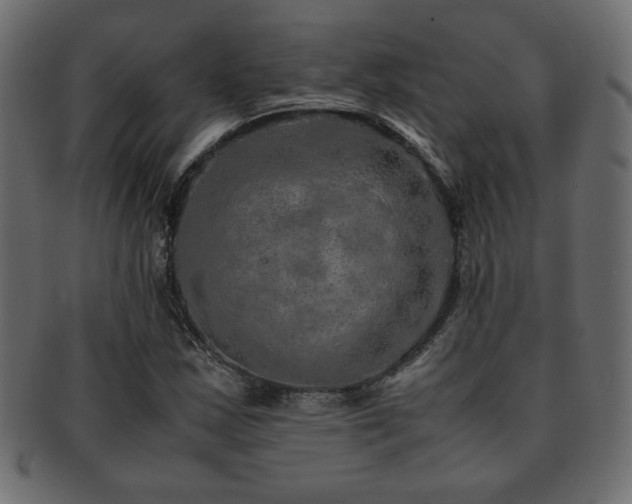 X0000093121163200709261322