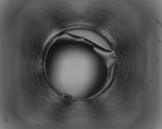X0000093121164200709261322