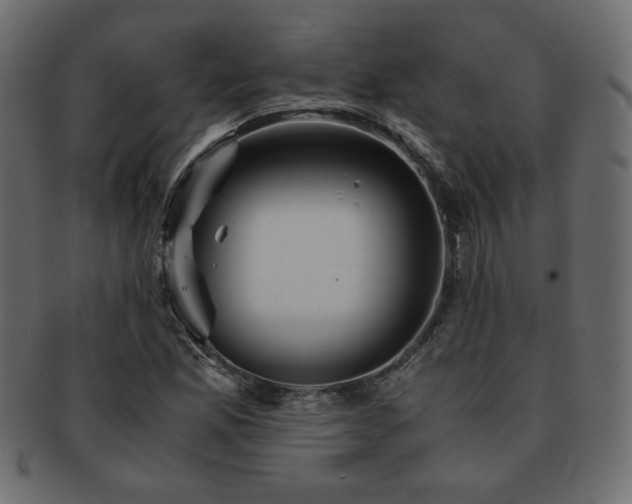 X0000093121165200709261322