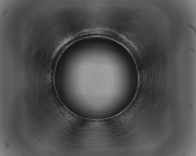 X0000093121166200709261322