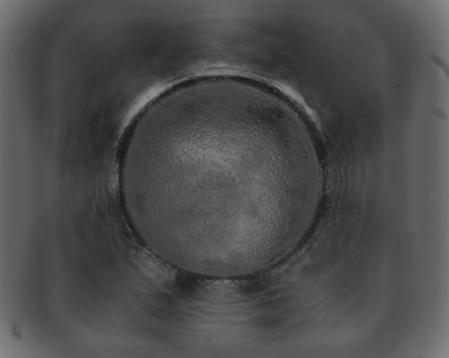 X0000093121167200709261322
