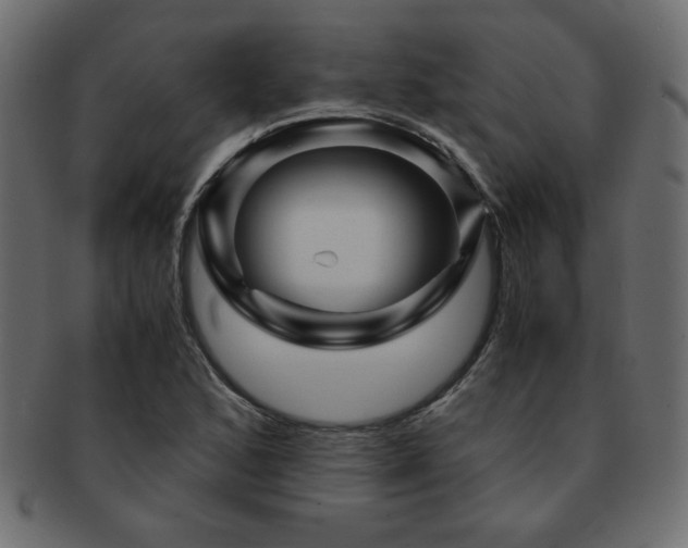 X0000093121168200709261322