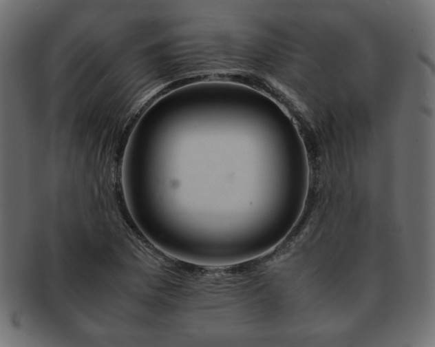 X0000093121169200709261322