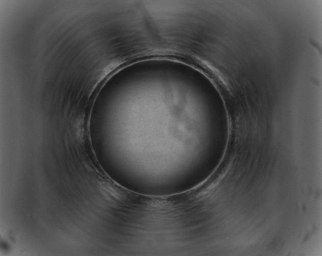 X0000093121170200709261322