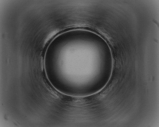 X0000093121171200709261322