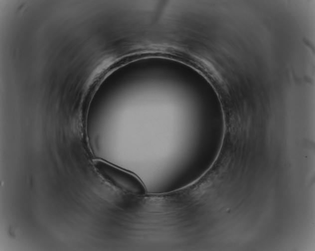 X0000093121172200709261322