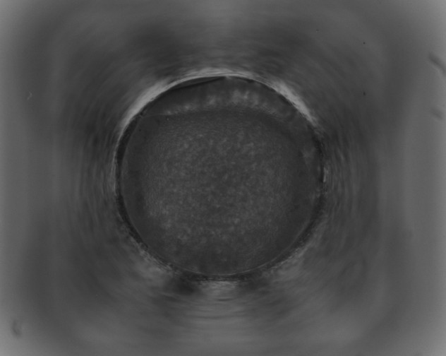 X0000093121173200709261322