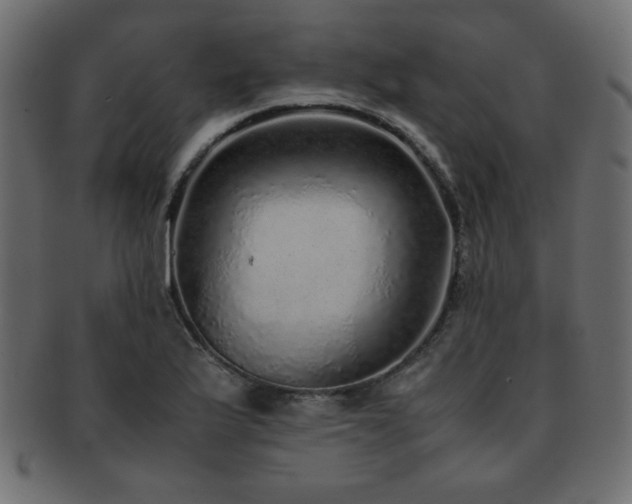 X0000093121175200709261322