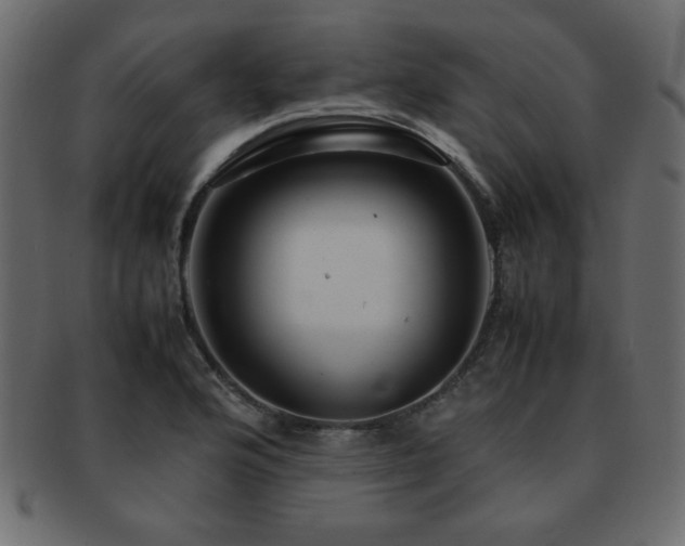 X0000093121176200709261322