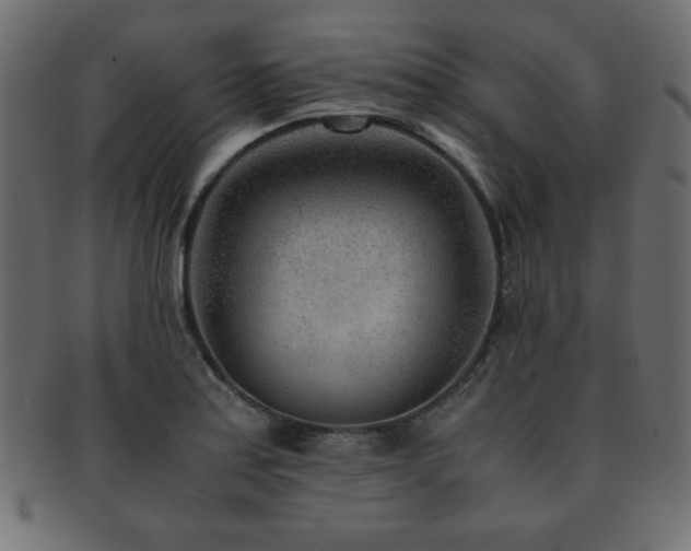 X0000093121179200709261322