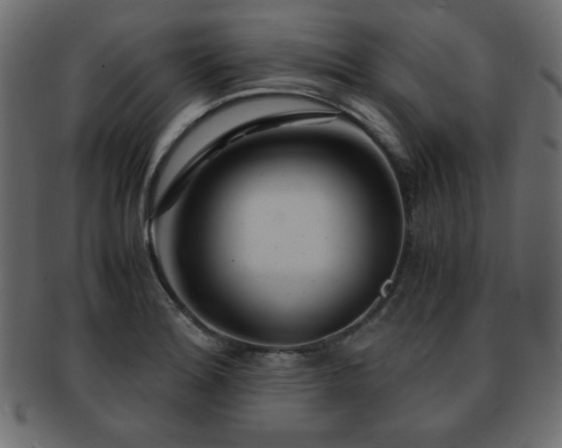 X0000093121180200709261322
