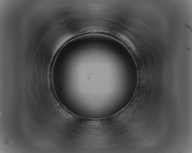X0000093121182200709261322