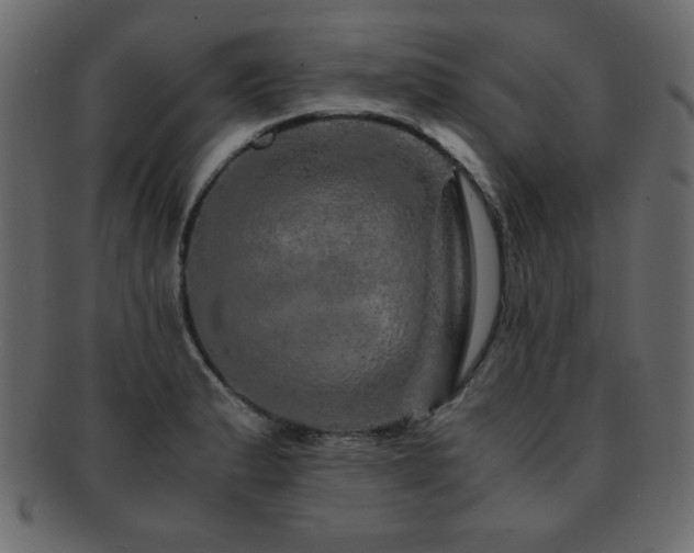 X0000093121183200709261322