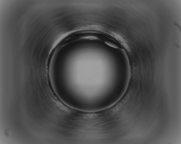 X0000093121184200709261322