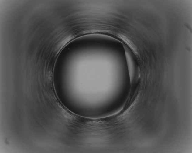 X0000093121185200709261322