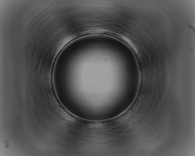 X0000093121186200709261322