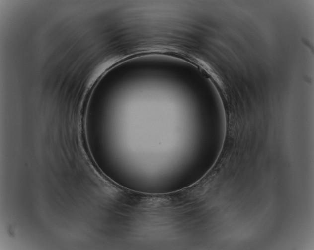 X0000093121187200709261322