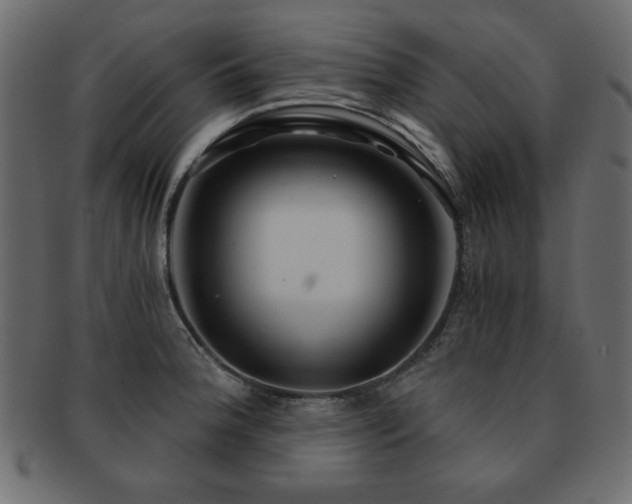 X0000093121188200709261322