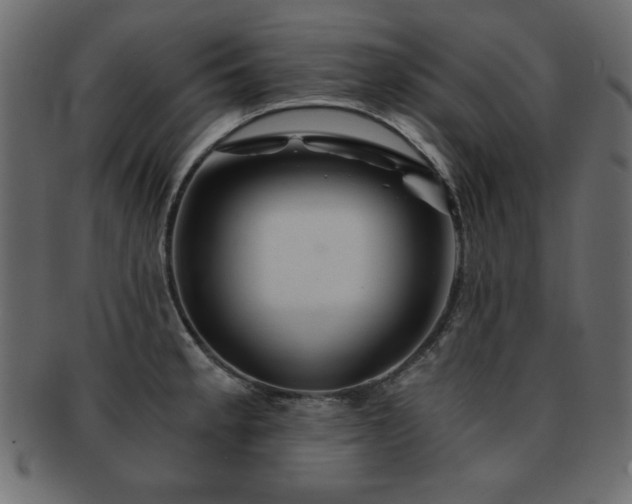 X0000093121189200709261322