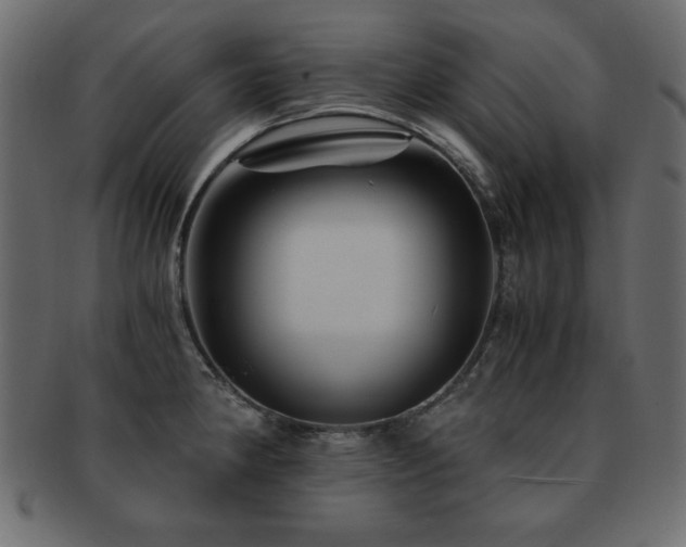 X0000093121190200709261322