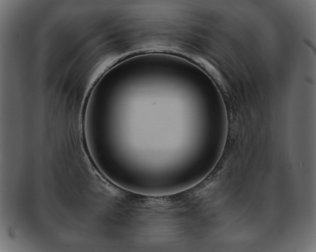 X0000093121191200709261322