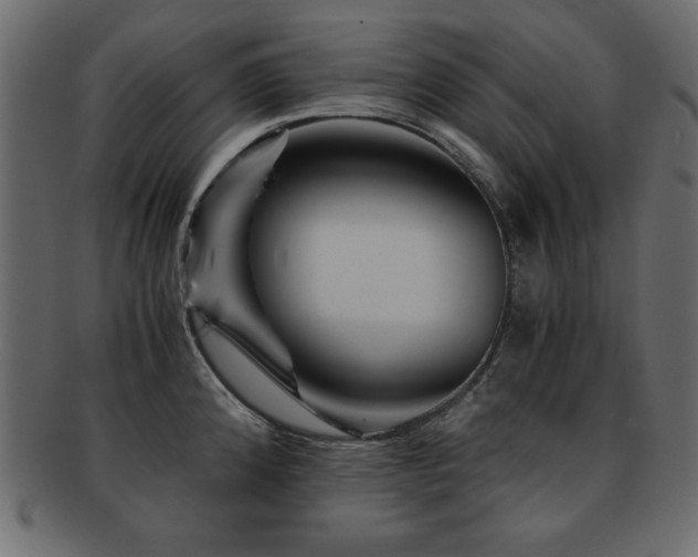 X0000093121192200709261322
