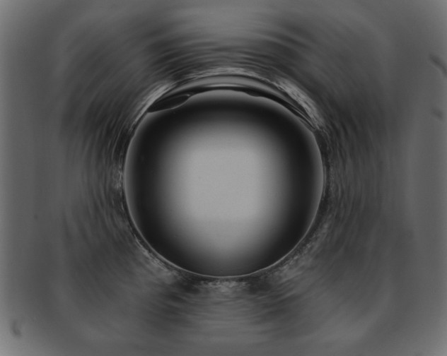X0000093121193200709261322