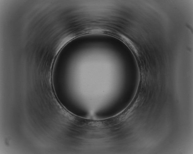 X0000093121194200709261322