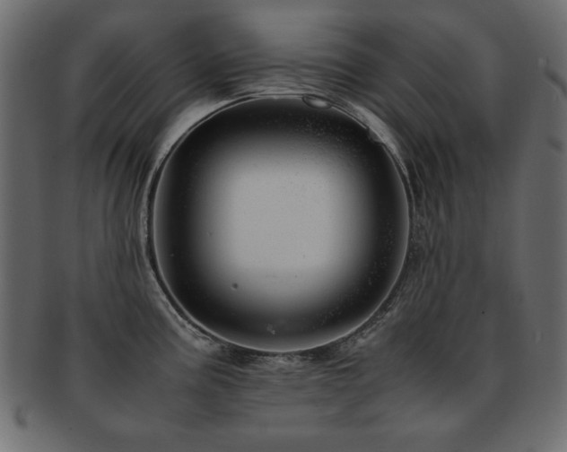 X0000093121195200709261322