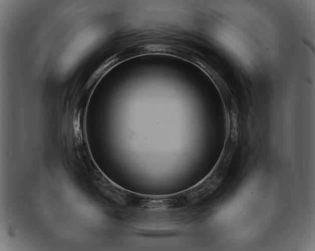 X0000093121198200709261321