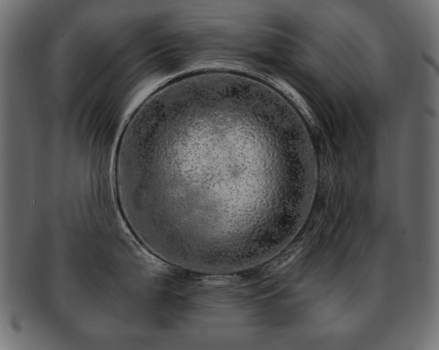 X0000093121199200709261321