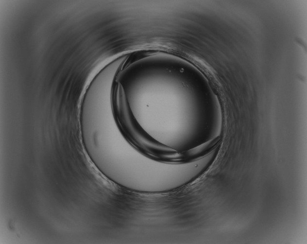 X0000093121200200709261321