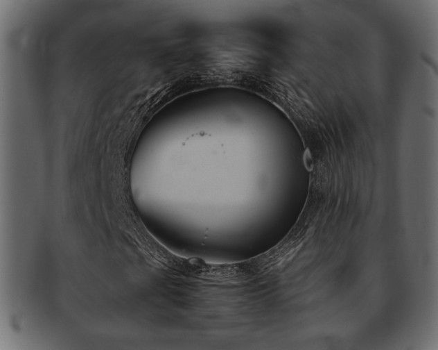 X0000093121201200709261321