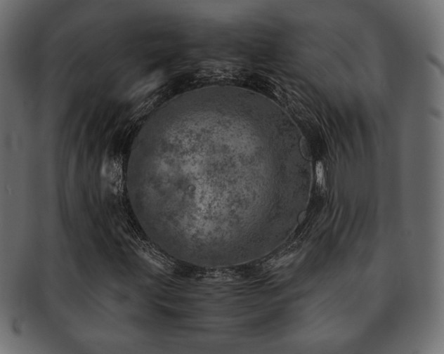 X0000093121203200709261321