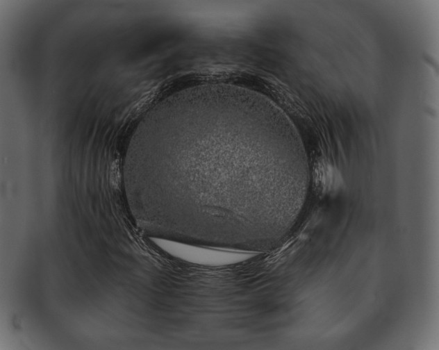 X0000093121204200709261321