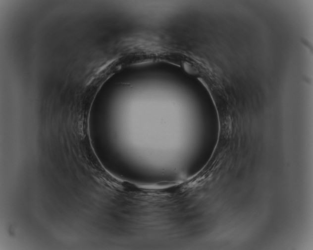 X0000093121205200709261321