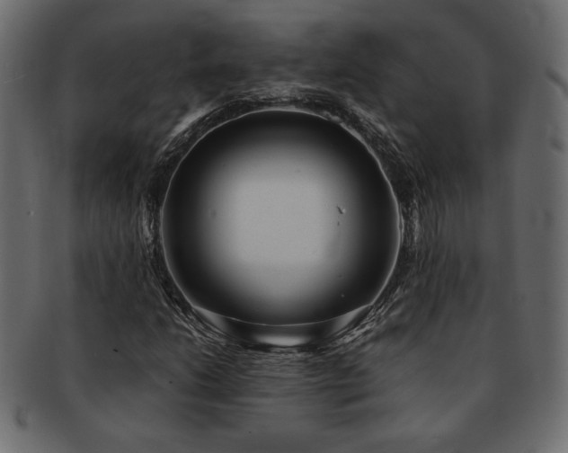 X0000093121206200709261321