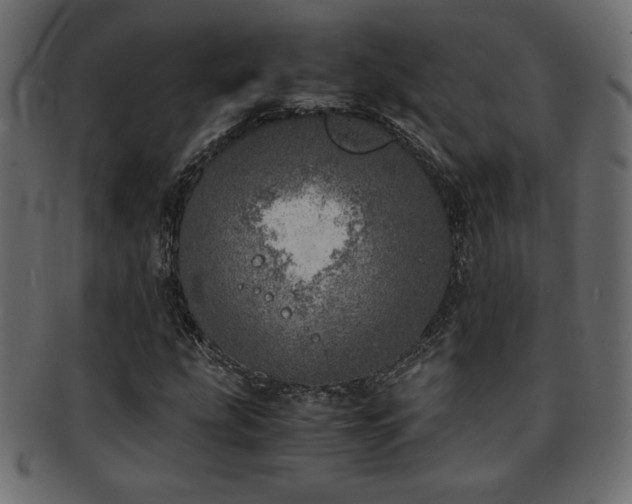 X0000093121207200709261321