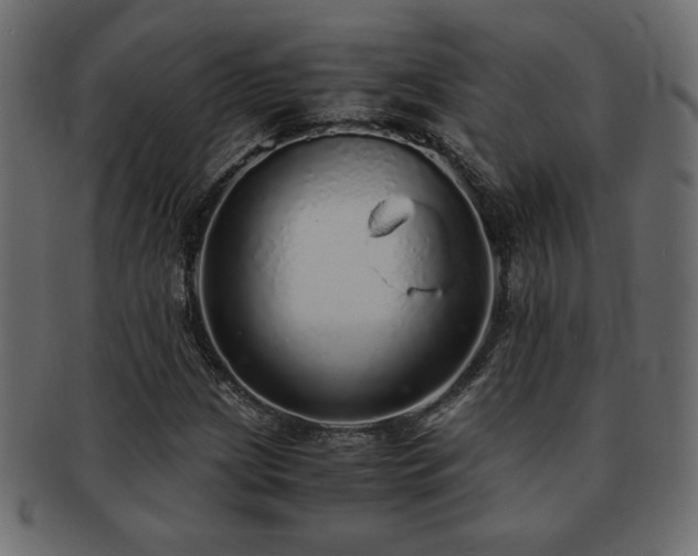 X0000093121209200709261321